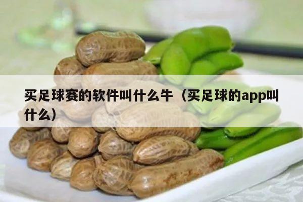 买足球赛的软件叫什么牛（买足球的app叫什么）