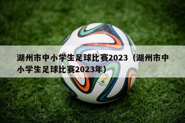 湖州市中小学生足球比赛2023（湖州市中小学生足球比赛2023年）