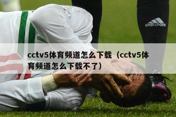 cctv5体育频道怎么下载（cctv5体育频道怎么下载不了）