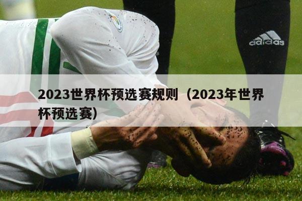 2023世界杯预选赛规则（2023年世界杯预选赛）