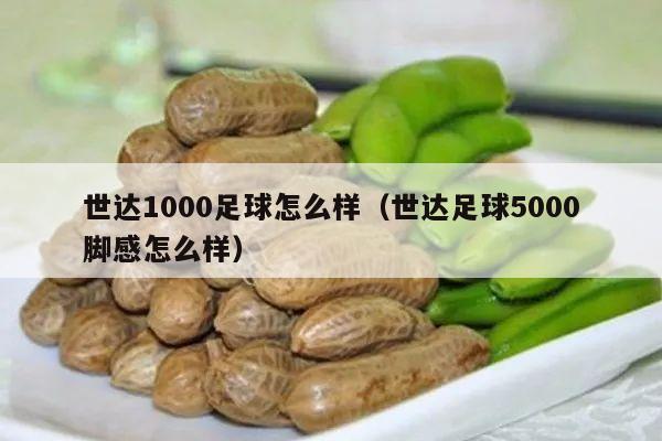 世达1000足球怎么样（世达足球5000脚感怎么样）