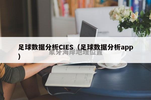 足球数据分析CIES（足球数据分析app）