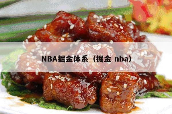 NBA掘金体系（掘金 nba）