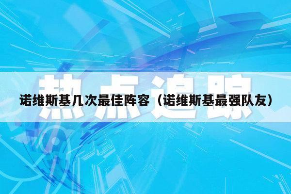 诺维斯基几次最佳阵容（诺维斯基最强队友）