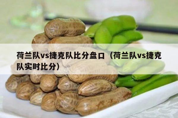 荷兰队vs捷克队比分盘口（荷兰队vs捷克队实时比分）