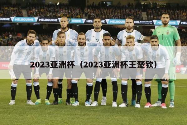 2023亚洲杯（2023亚洲杯王楚钦）