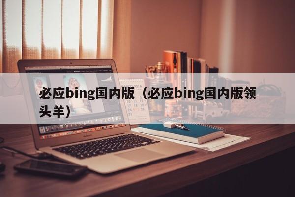 必应bing国内版（必应bing国内版领头羊）