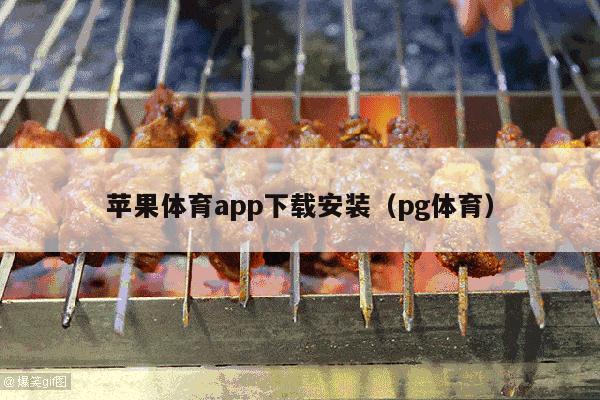 苹果体育app下载安装（pg体育）