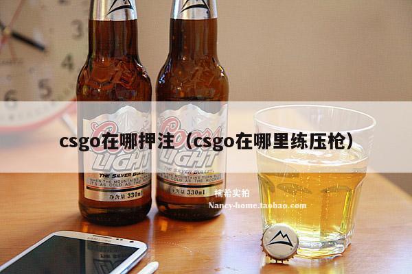 csgo在哪押注（csgo在哪里练压枪）