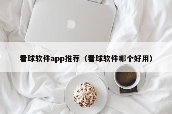 看球软件app推荐（看球软件哪个好用）