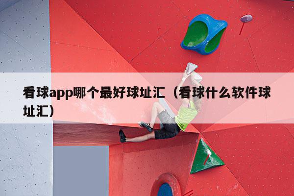 看球app哪个最好球址汇（看球什么软件球址汇）