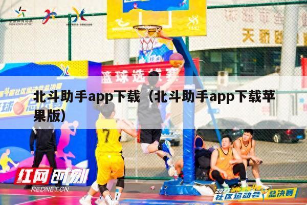 北斗助手app下载（北斗助手app下载苹果版）