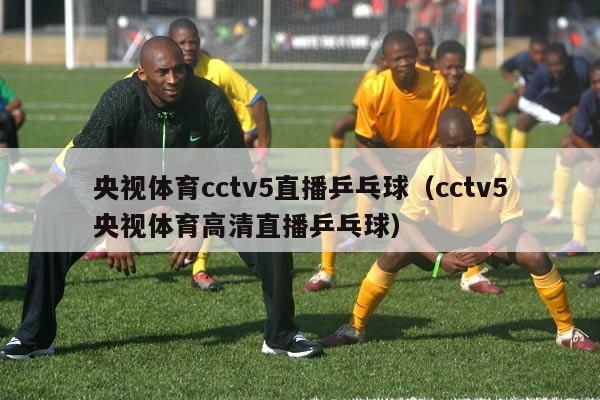 央视体育cctv5直播乒乓球（cctv5央视体育高清直播乒乓球）