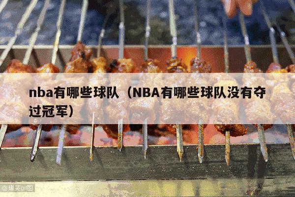 nba有哪些球队（NBA有哪些球队没有夺过冠军）