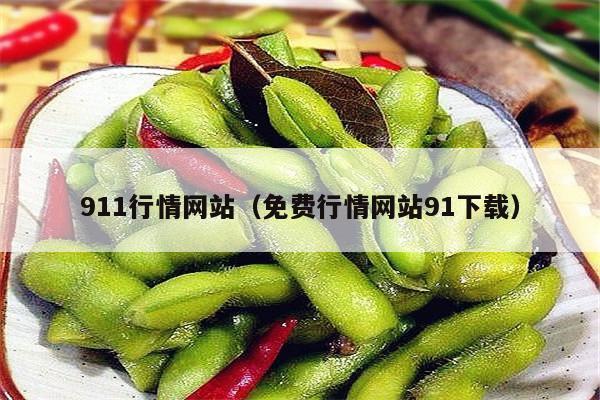 911行情网站（免费行情网站91下载）