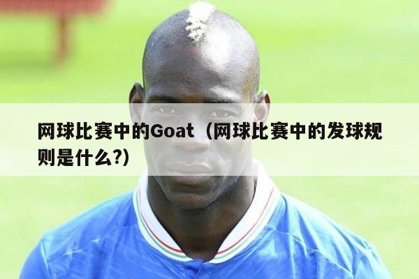 网球比赛中的Goat（网球比赛中的发球规则是什么?）