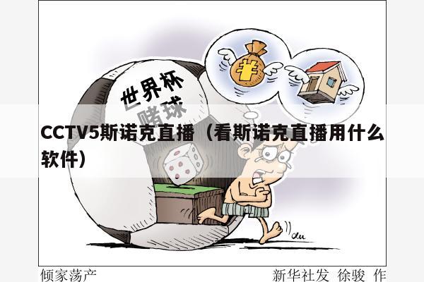 CCTV5斯诺克直播（看斯诺克直播用什么软件）